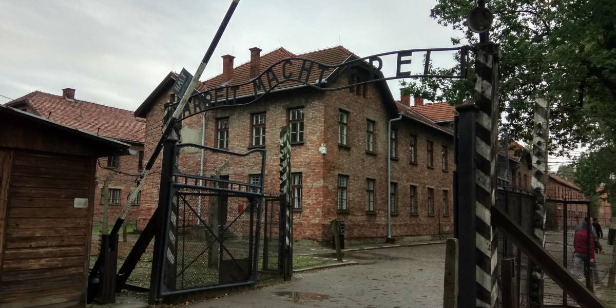 Путешествие в Польшу на автомобиле на 5 дней: день 2 — краковский зоопарк и музей Освенцима
