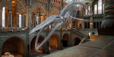 Что посмотреть в Лондоне: 10 самых интересных музеев