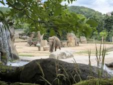 Пражский зоопарк. © by columbista.com. Дата: 04.08.2025