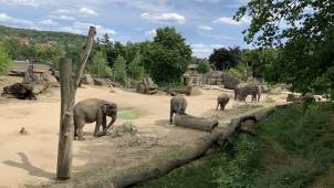 Пражский зоопарк. © by columbista.com. Дата: 04.08.2025