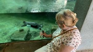 Пражский зоопарк. © by columbista.com. Дата: 04.08.2025