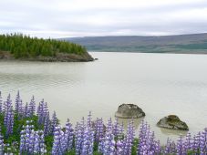 Озеро Лагарфльоут. © Denkhenk @ wikimedia.org / CC BY-SA 3.0.