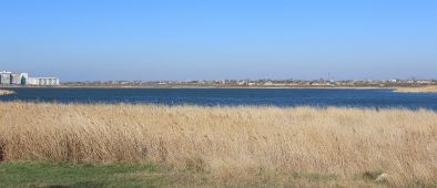 Сакское грязевое озеро. © Well-Informed Optimist @ Wikimedia Commons / CC BY 3.0.