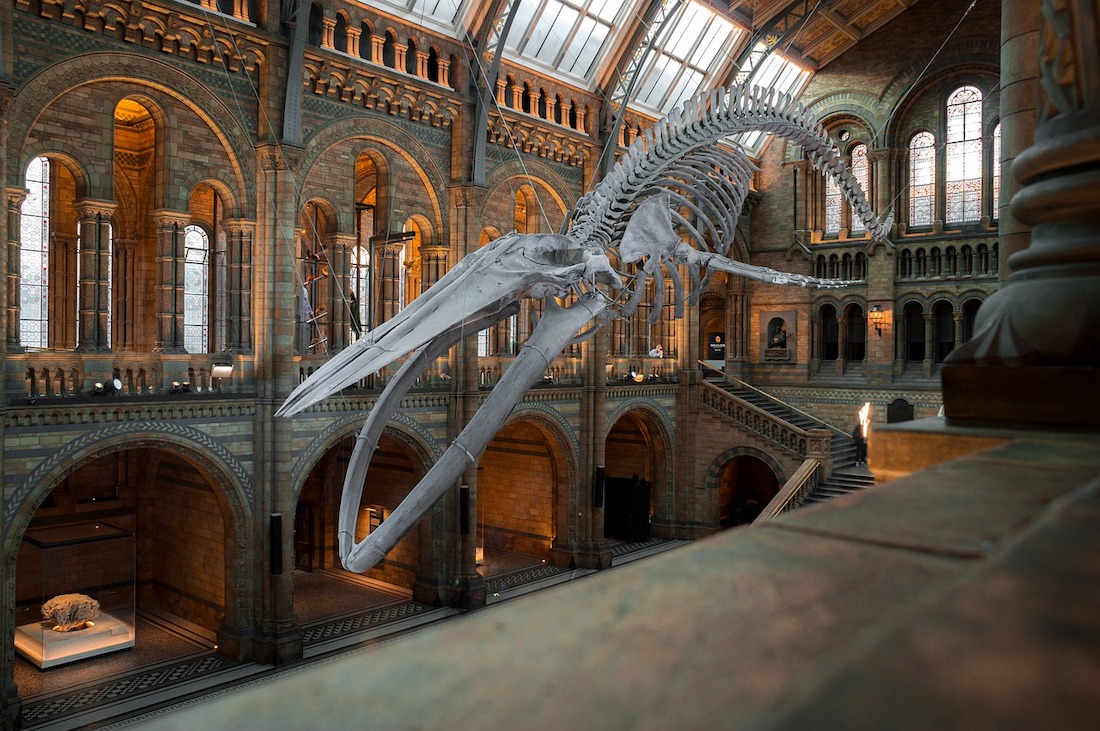 Natural History museum